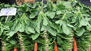 6 soruda ıspanak zehirlenmesi