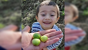 Bu mevsimde erik oldu