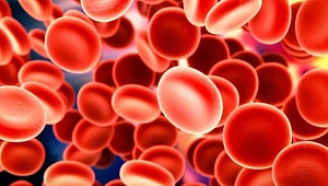 Demir eksikliği anemisi belirtileri