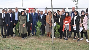 Dilovası'nda 8 bin fidan hayat buldu