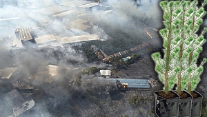 Gebze’de 25 bin fidan hayat bulacak