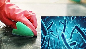 Kansere sebep olduğu ortaya çıktı