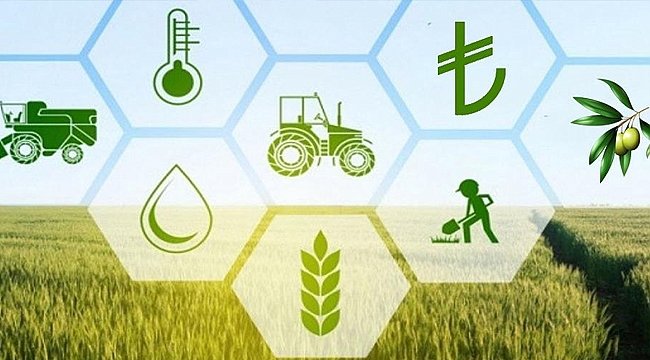Kırsala destekte hibe oranı 10 puan artırıldı