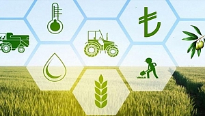 Kırsala destekte hibe oranı 10 puan artırıldı