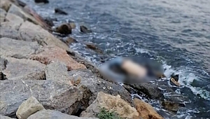 O cesedin kimliği belli oldu