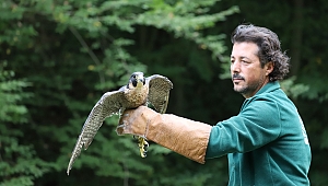 Ormanya’dan göklere…