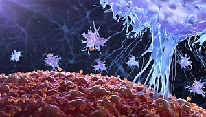 Tüm kanser türlerini yenebilecek virüs bulundu