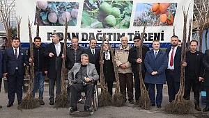 250 çiftçiye, 20 bin ceviz ve hurma fidanı dağıtıldı