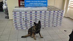 74 bin paket kaçak sigara yakalandı