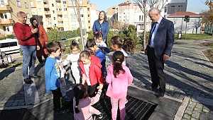 Adasu istedi, Büyükgöz yaptı