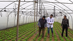 Büyükşehir çiftçilerin yanında