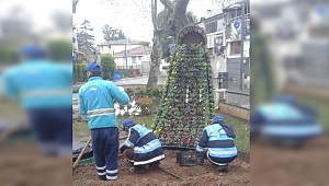 Eskihisar çiçek bahçesine döndü