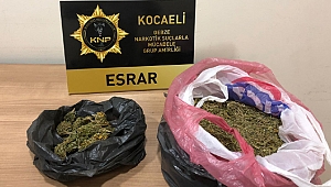 Gebze’de esrar operasyonu