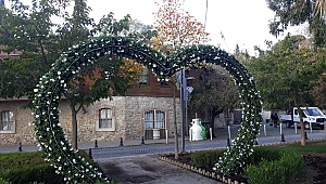 Gebze’de parklar çiçekleniyor