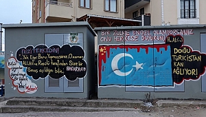 İHH Çayırova, Doğu Türkistan'a dikkat çekti