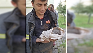 İtfaiye ekipleri kediyi ölümden kurtardı