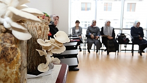 Kocaeli’de mantar yetiştiren kazanacak