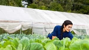 Köye dönen gence 100 bin TL hibe