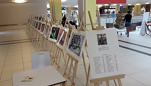 Ödüllü öğretmenin eserleri Gebze'de sergilendi