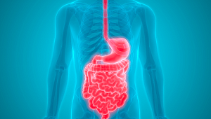 Sindirimle ilgili doğru bilinen yanlışlar