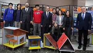 Sokak hayvanları için tasarlanan kulübeler sergilendi