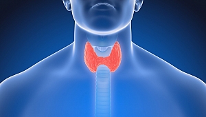 Tiroid nodülleri kansere neden olabiliyor