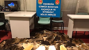 800 bin TL değerinde kunduz postu ele geçirildi