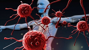 Bağışıklığı güçlendirmek için bunları yapın