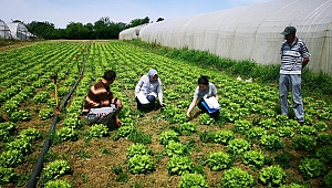 Büyükşehir'den köylere hizmet yağmuru
