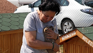 Can dostlarımız güvenilir ellerde