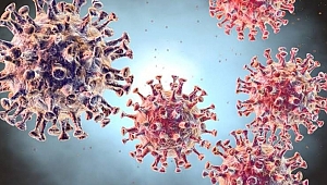 Corona virüsü 2 günde belirti gösteriyor