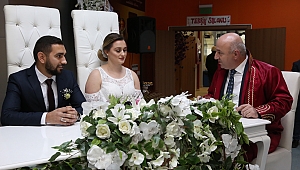 Darıca'da bin 411 çift 2019’da yuva kurdu