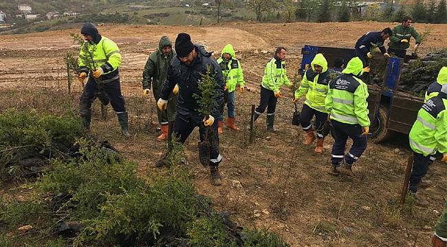 Gebze'deki dolgu alanına 8 bin 700 fidan