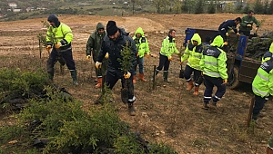 Gebze'deki dolgu alanına 8 bin 700 fidan