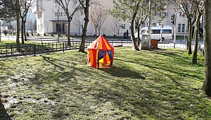 Gebzeli hayvanseverlerden duyarlı davranış