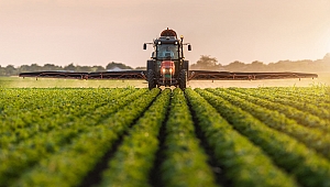 Üreticiye kredi desteği