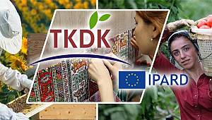 Bin 231 projeye 310 milyon TL hibe