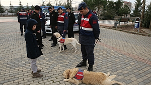 18 bin 700 öğrenci suça karşı eğitilecek
