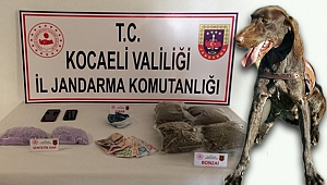 Araçtaki uyuşturucuları ‘Sıtma’ buldu