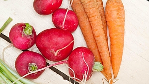 Bu besinler vücudu yeniliyor