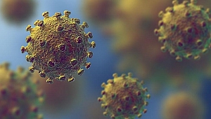 Coronavirüs hakkında merak edilenler