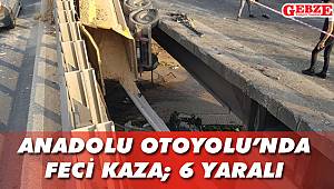 Anadolu Otoyolu'nda feci kaza