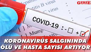 Bakan Koca yeni rakamları açıkladı