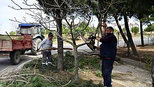 Çayırova’ya bahar geldi, hoş geldi