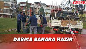 Darıca bahara hazır