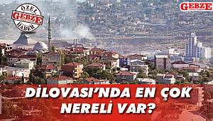 Dilovası’nda en çok nereli var?