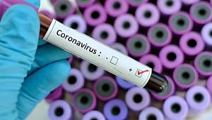 Kan grubu risk oranını etkiler mi?