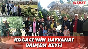 KOGACE'nin Hayvanat Bahçesi keyfi