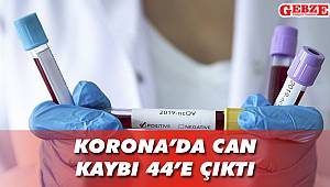 Korona'da can kaybı 44'e çıktı