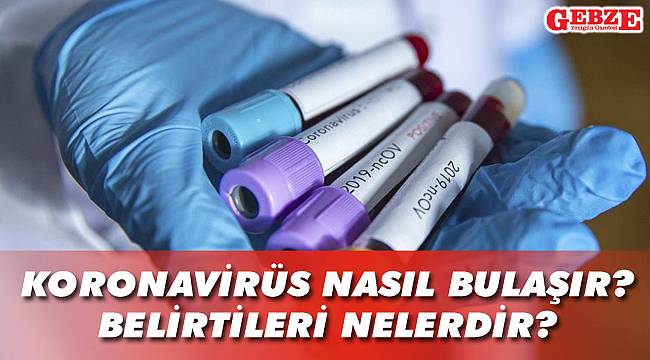 Koronavirüs nasıl bulaşır? Belirtileri nelerdir?